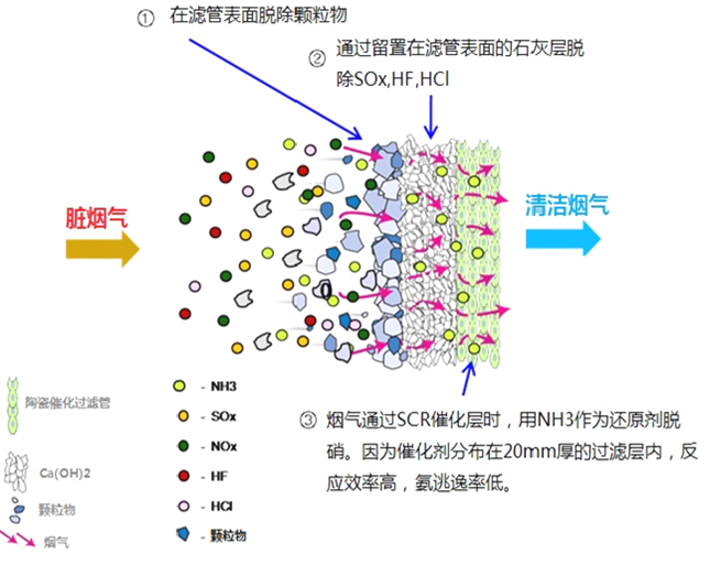 &#20048;&#31454;&#23448;&#32593;&#45;&#20048;&#31454;&#40;&#20013;&#22269;&#41;&#19968;&#31449;&#24335;&#20307;&#32946;&#26381;&#21153;